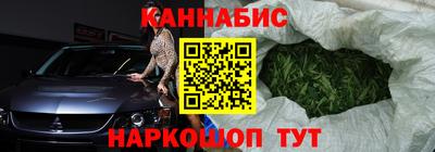 сатива Малгобек