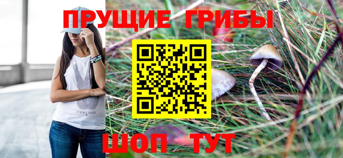 Железноводск  Псилоцибиновые грибы прущие грибы  Галлюциногенные грибы ЛСД  Вход с VPN 